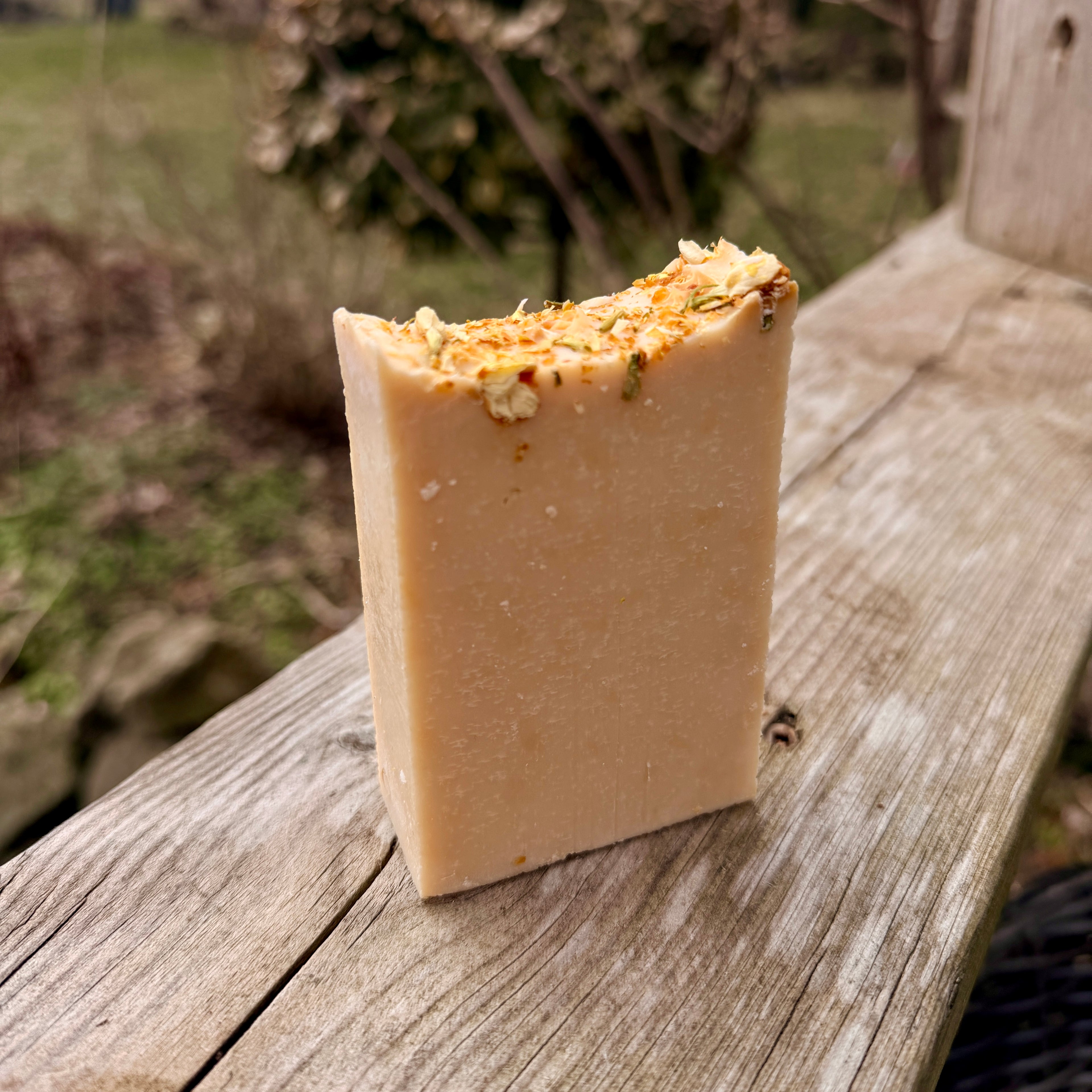 Soap Bars